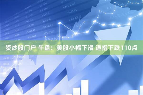 资炒股门户 午盘：美股小幅下滑 道指下跌110点