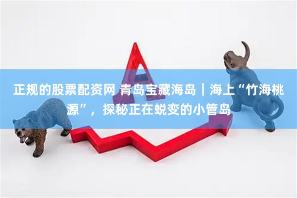正规的股票配资网 青岛宝藏海岛｜海上“竹海桃源”，探秘正在蜕变的小管岛