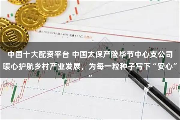 中国十大配资平台 中国太保产险毕节中心支公司暖心护航乡村产业发展，为每一粒种子写下“安心”