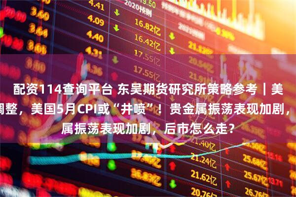 配资114查询平台 东吴期货研究所策略参考｜美元指数大幅调整，美国5月CPI或“井喷”！贵金属振荡表现加剧，后市怎么走？
