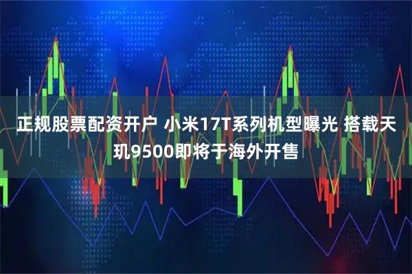 正规股票配资开户 小米17T系列机型曝光 搭载天玑9500即将于海外开售